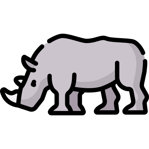 Sumatran Rhino